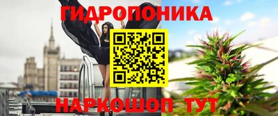 мдпв Обнинск