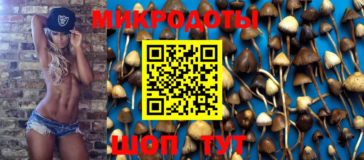 Галлюциногенные грибы прущие грибы  Вход с VPN  Галлюциногенные грибы мухоморы  Санкт-Петербург 