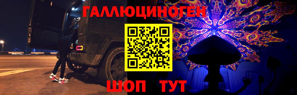 Галлюциногенные грибы Psilocybe Санкт-Петербург